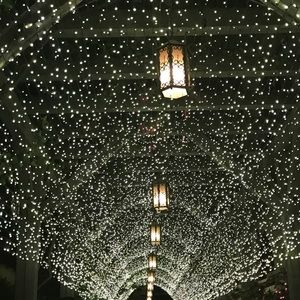 Meet your Posher, Claire